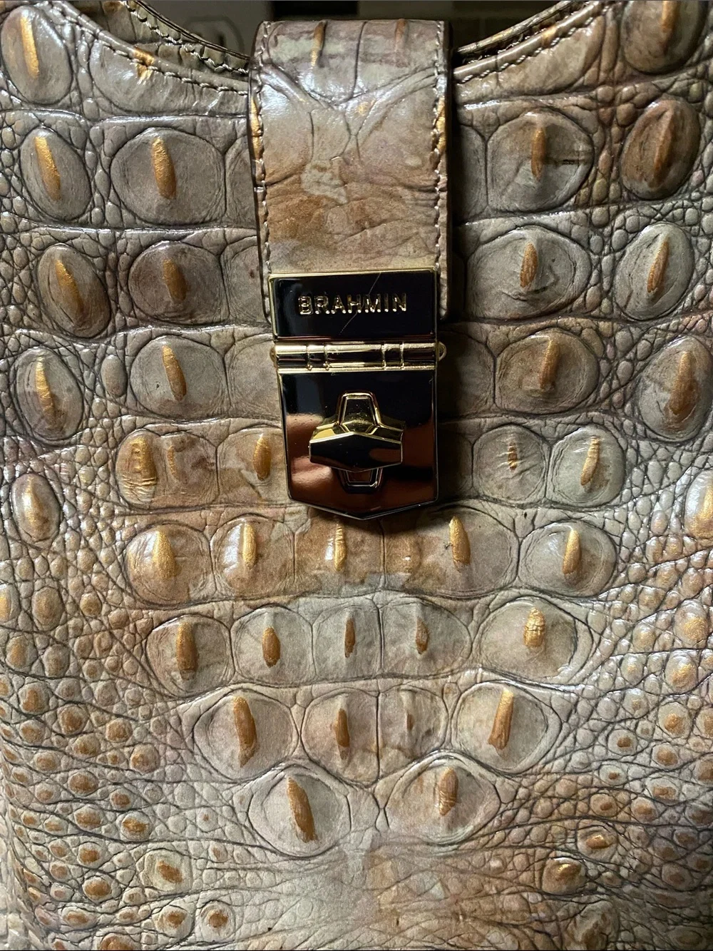Brahmin Elisa satchel